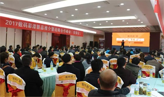 2017數碼彩（安徽）新品推介暨戰略合作峰會現場虛無坐席