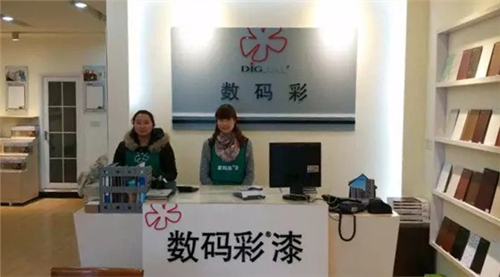 數碼彩油漆涂料荊門分銷店