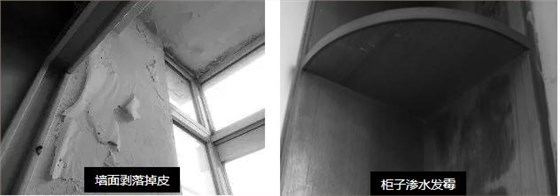 母親節特輯 ¦ 10天為母親煥愛心居室_福建乳膠漆品牌廠家
