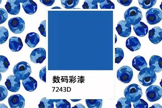 「水果藍莓色」 深沉“感官營養(yǎng)”的墻面暗色系