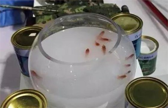 修煉內功，讓行業水性漆回歸健康軌道_深圳水性木器漆品牌廠家
