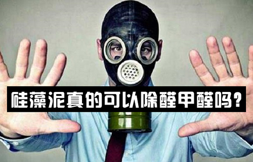 硅藻泥真的可以除醛甲醛嗎？