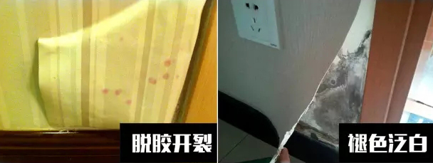 〖家裝資訊臺(tái)〗潮濕天氣，房子剪開(kāi)壁紙全是蘑菇