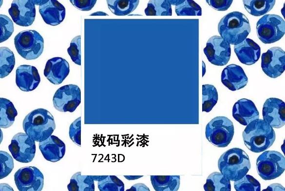 「水果藍(lán)莓色」 深沉“感官營養(yǎng)”的墻面暗色系