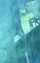 史上最強墻面濾鏡——極亮罩面
