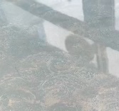 史上最強墻面濾鏡——極亮罩面